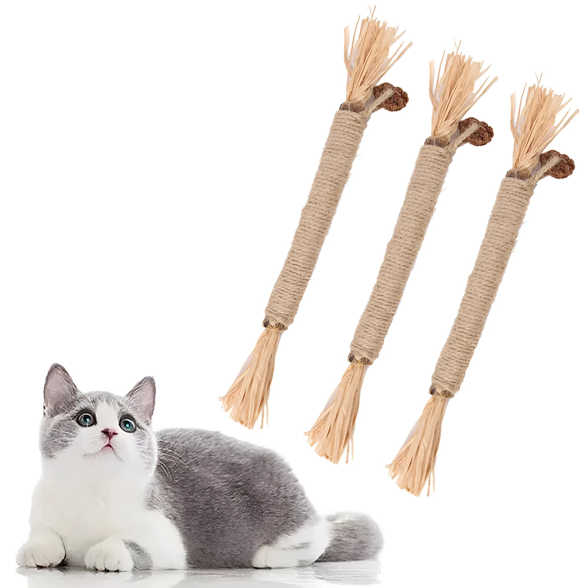 Three natural silvervine chew sticks for cats with sisal rope, shown with Fine and Thick diameter options.