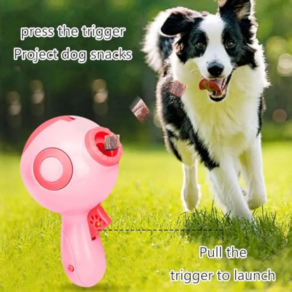 Green, orange, and pink ABS plastic dog treat launcher toy on a white background.