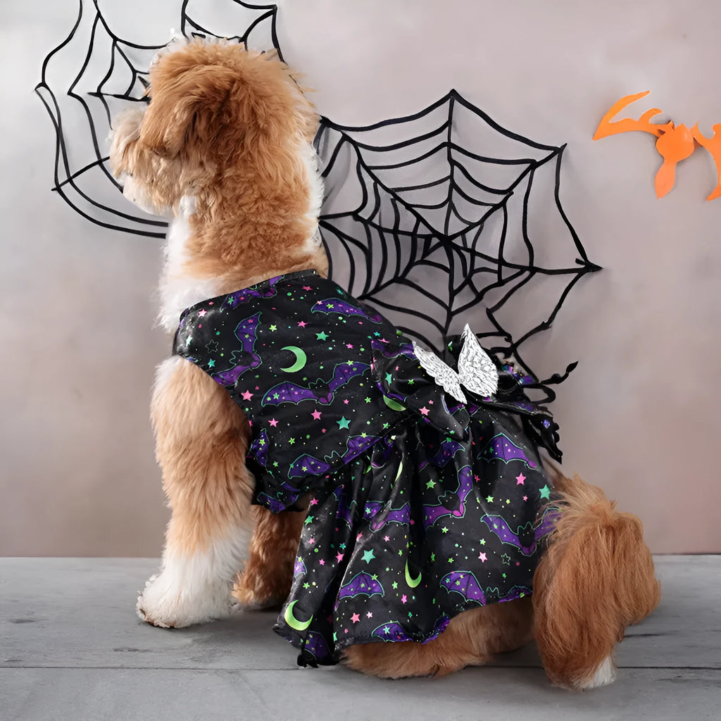 Halloween dog costume with angel wings in bright pumpkin orange or bat pattern colours