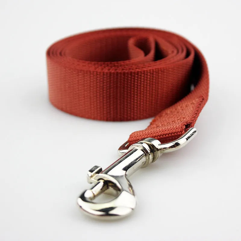 Solid colour dog lead rope in hand-holding loop design with various colour options displayed
