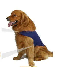 Dog wearing brocade cotton calming tank top for separation anxiety relief in Rose Red colour