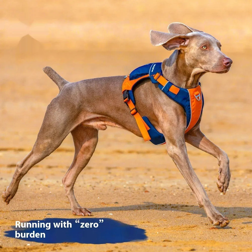 Orange blue dog chest strap vest harness with lead attachment for medium sized dogs