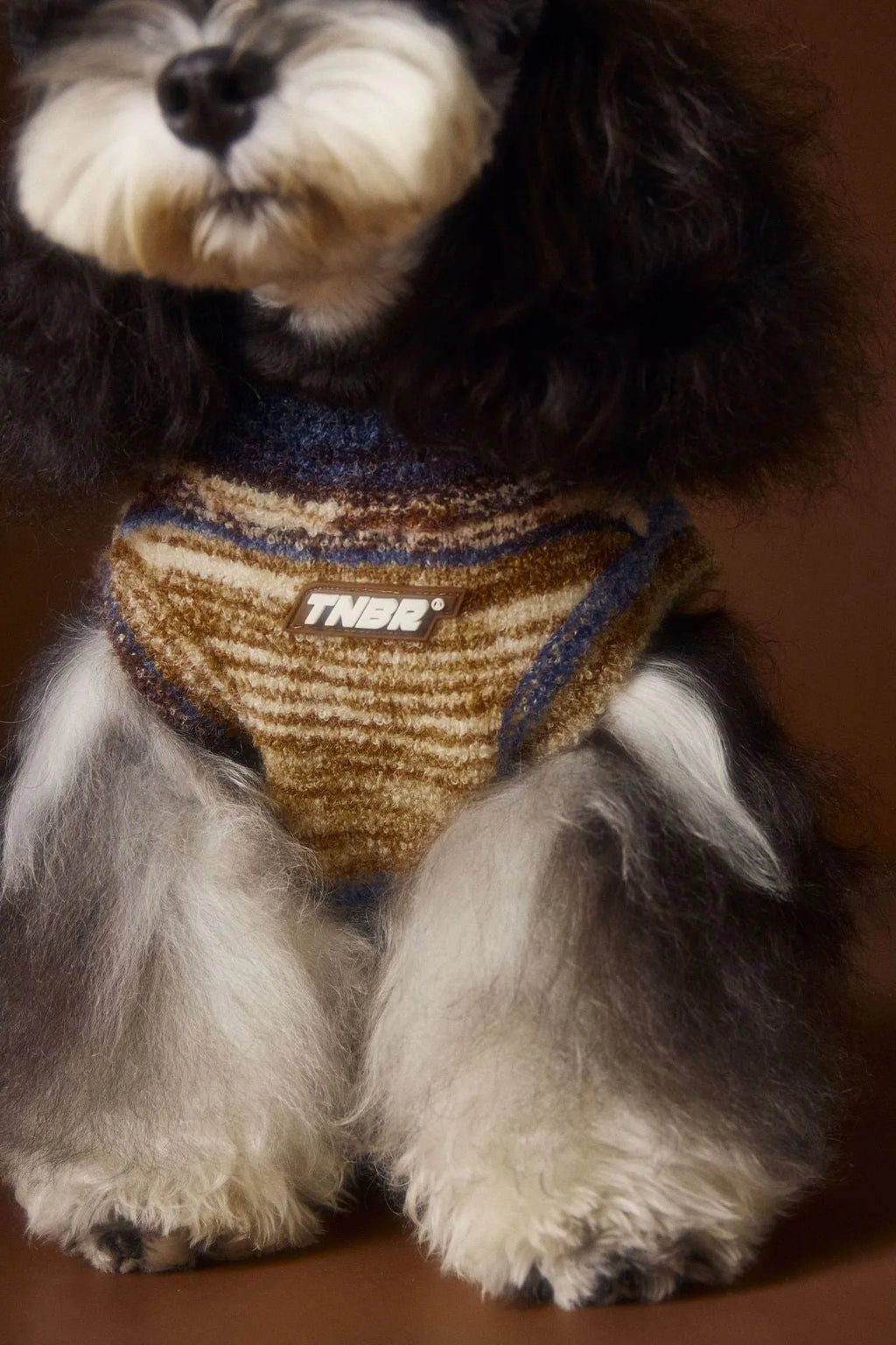 Rainbow stripes sleeveless polyester dog sweater vest in blue on a small dog