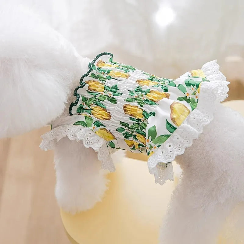 Rock yellow lemon polyester dog skirt dress on mannequin showing strap and princess design