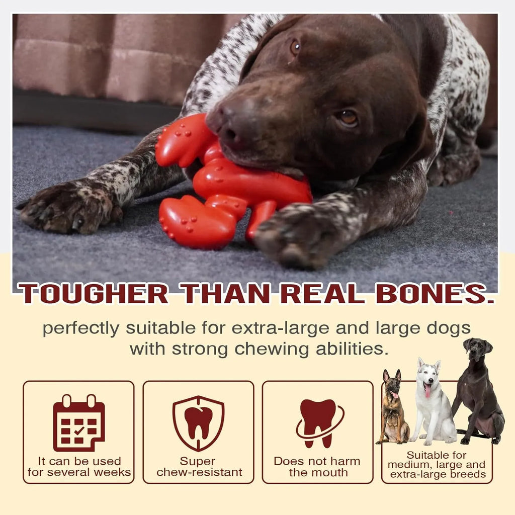 Red hard nylon bone chew toy for large dogs on a white background.