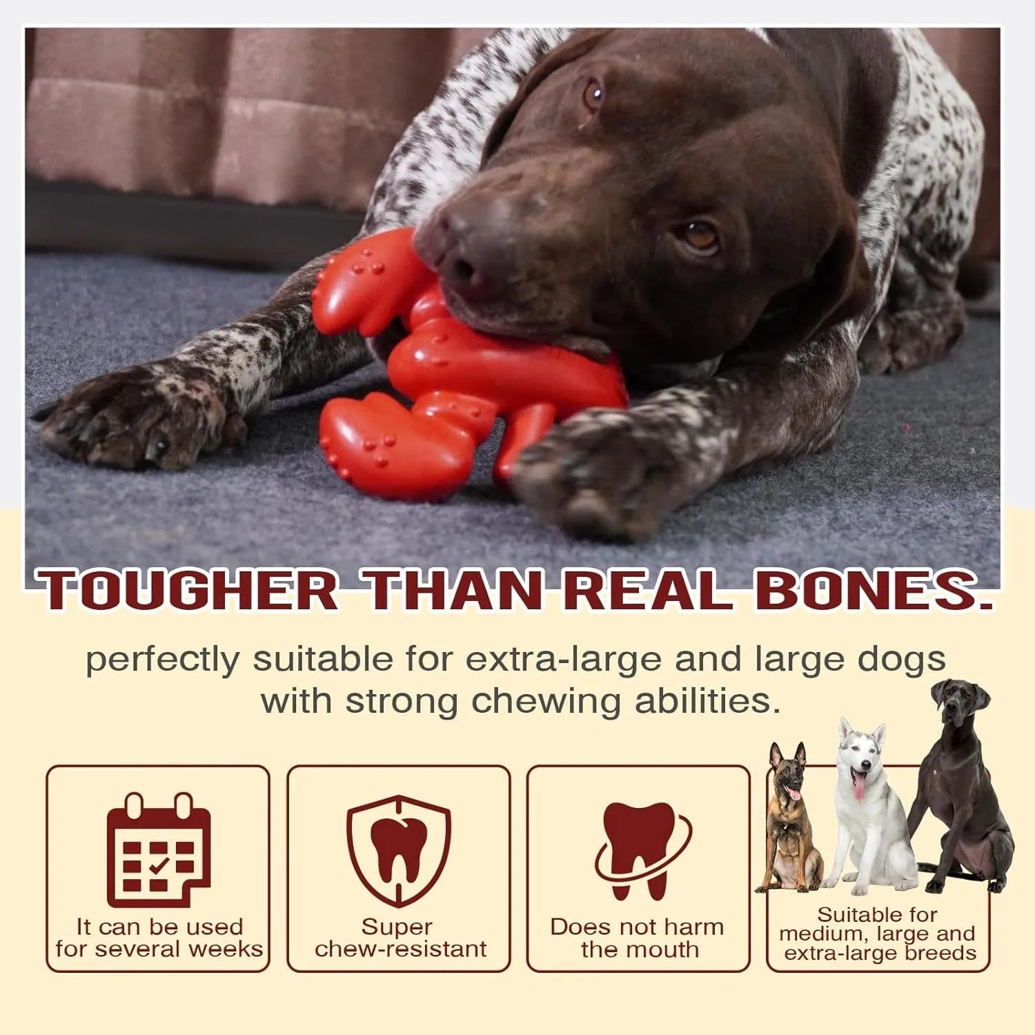 Red hard nylon bone chew toy for large dogs on a white background.