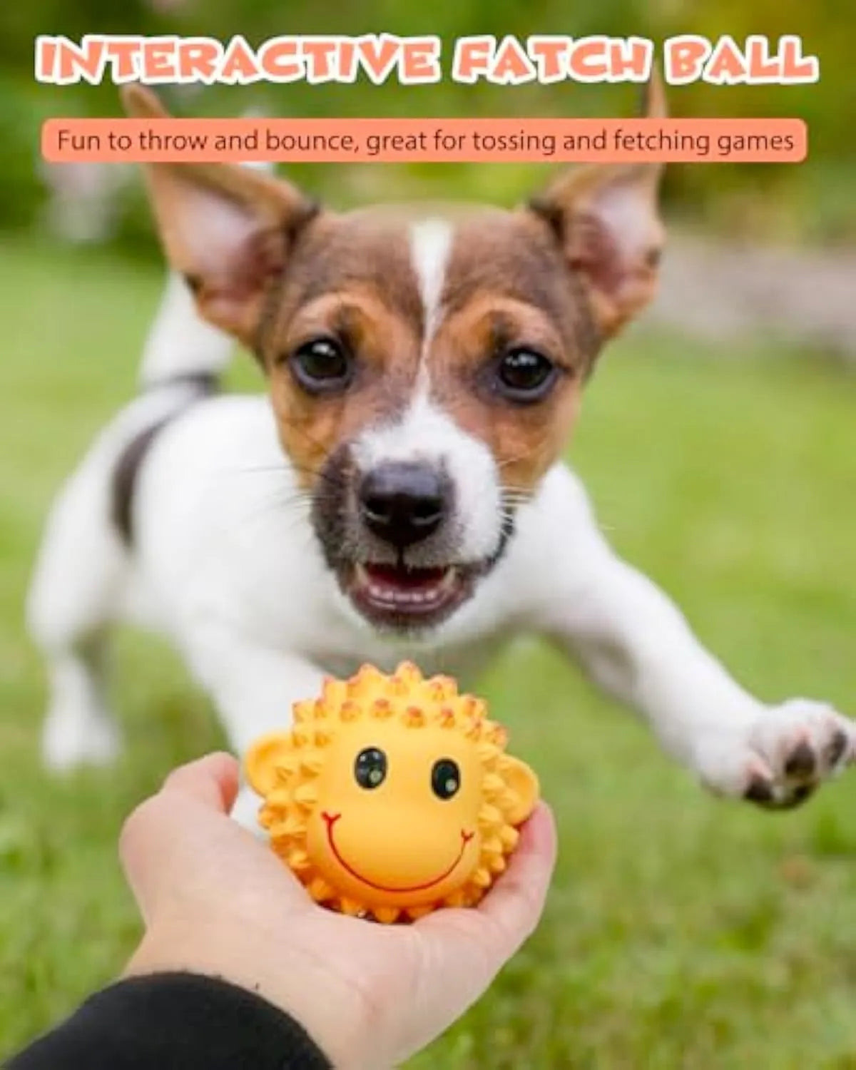 Orange and yellow spiky animal-shaped squeaky dog toys made from natural latex rubber