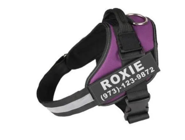 A reflective adjustable dog harness vest shown on a dog, with a handle and D-ring for leash attachment.