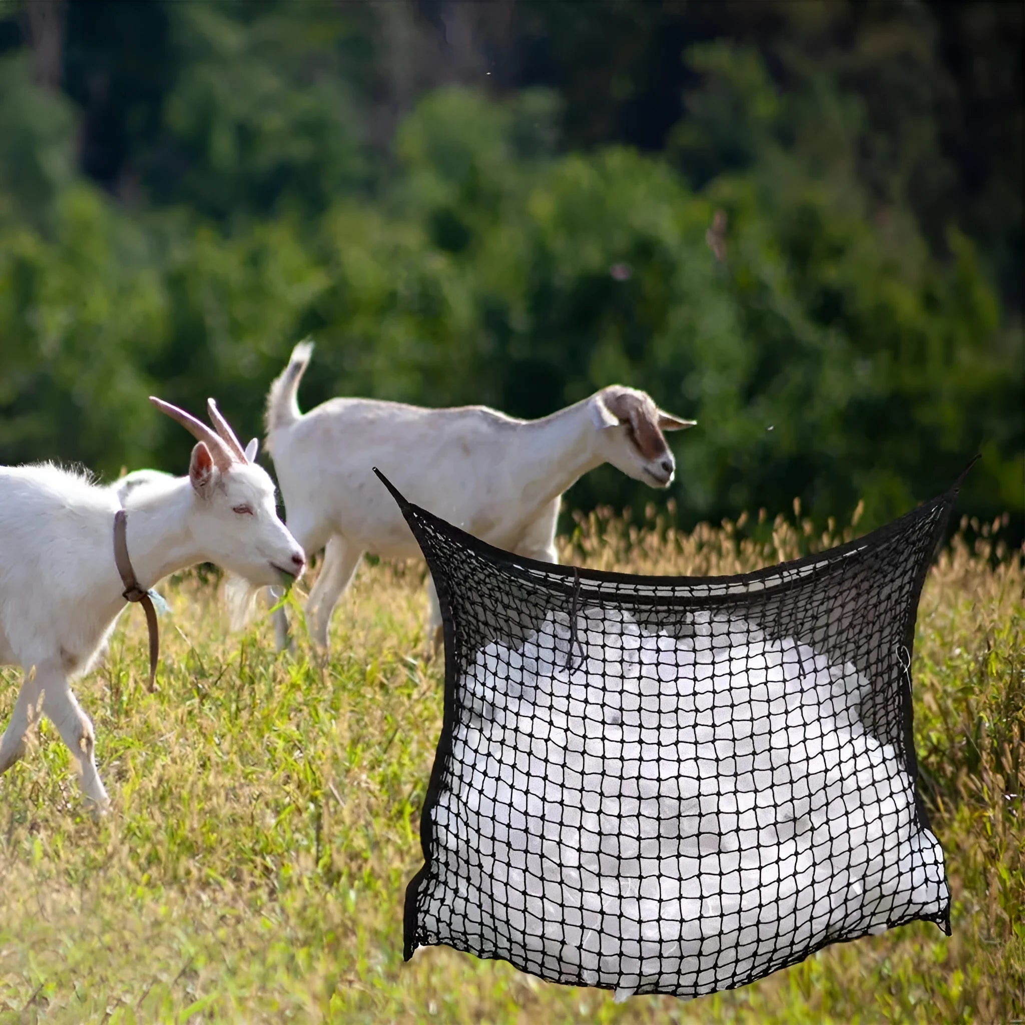 Black woven grid hanging feeding bag for horses and cattle, showing size and rope construction.