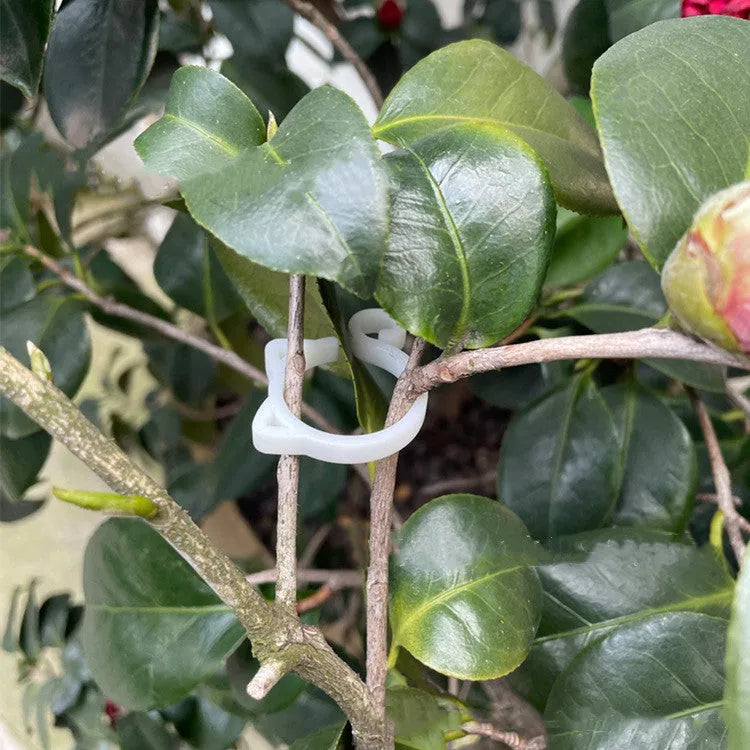 Cat-shaped plastic plant clip in red, yellow, green, and white colours for garden support.
