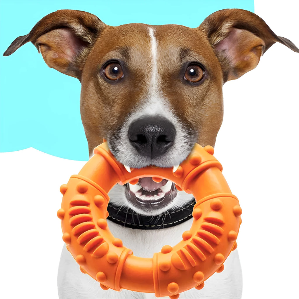 Lightweight blue dog fetching stick toy with hollow chewy design for safe catch and fetch games.