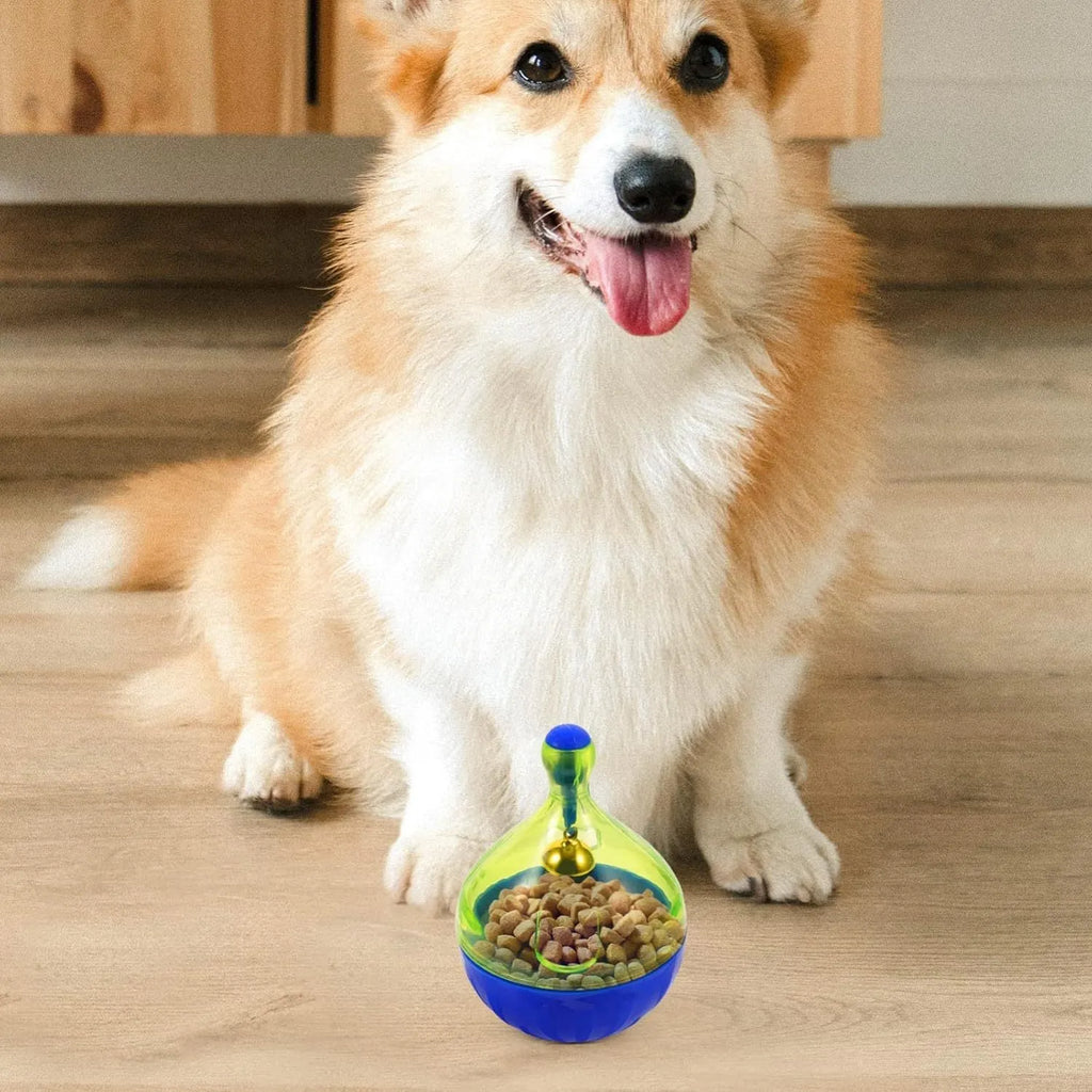 Tumbler-shaped interactive pet treat dispenser toy for dogs and cats