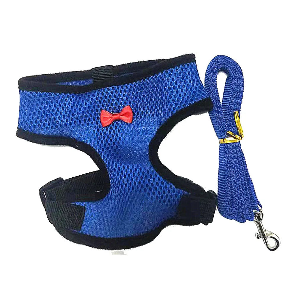 Poultry chicken harness and vest set in chosen colour with adjustable collar and 110cm traction rope.