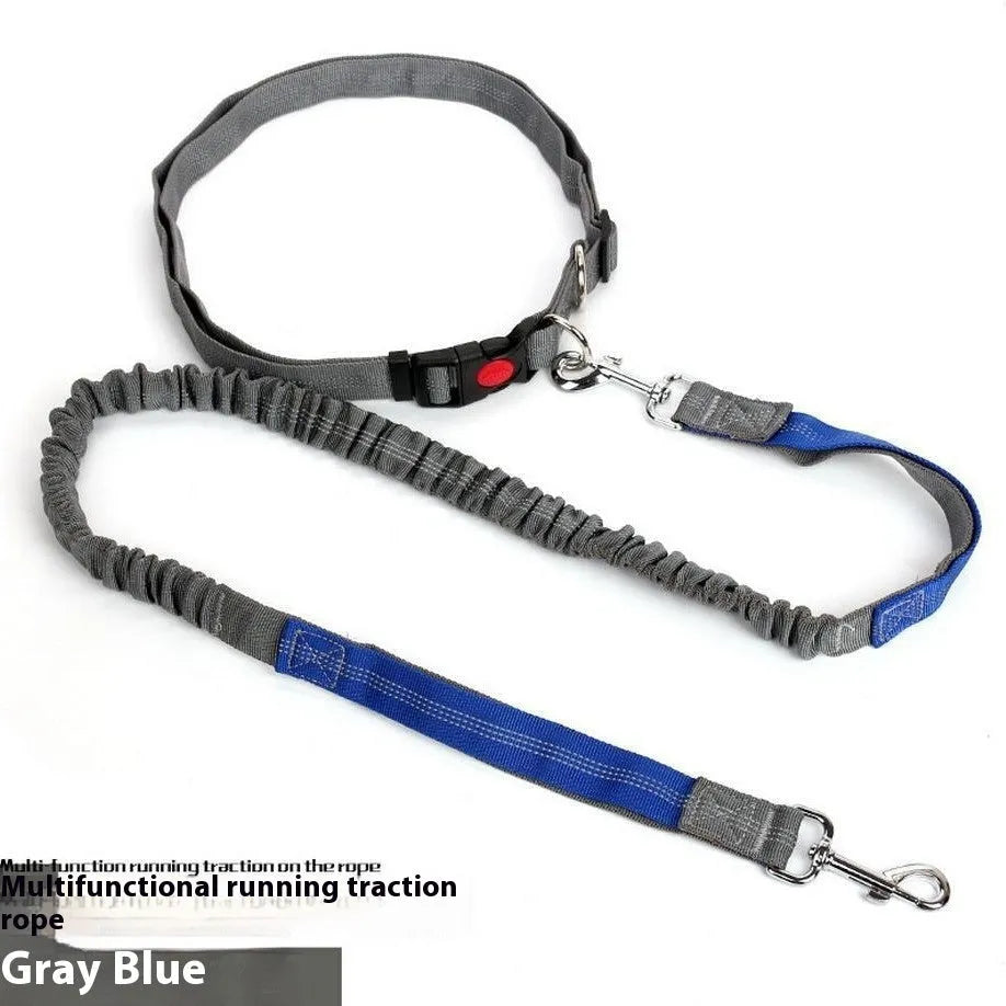 Grey and green elastic dog leash with reflective strip, showing clip and 2.5cm nylon width.