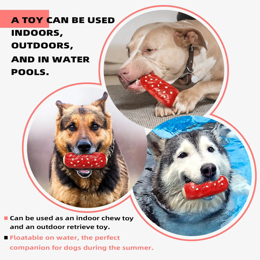 Primary colour plastic molar rod dog chew toy for dental health and interactive play.