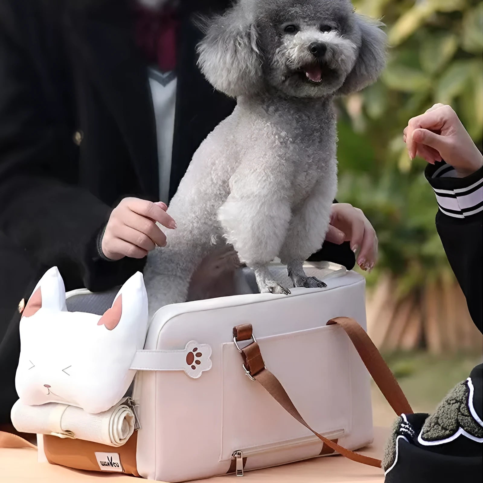Hard-sided beige pet carrier with one shoulder strap, dimensions 43x25x22.5cm for pets to 15kg