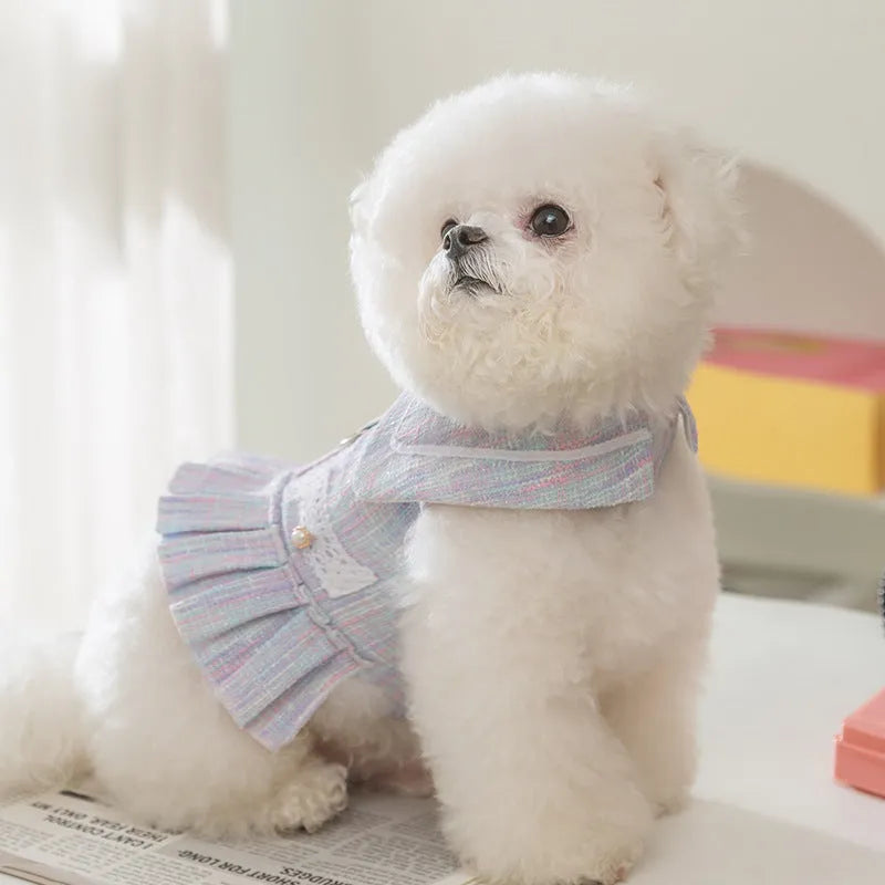 Purple and pink polyester pet clothing for small dogs and cats, showing sizes S, M, L, and XL.
