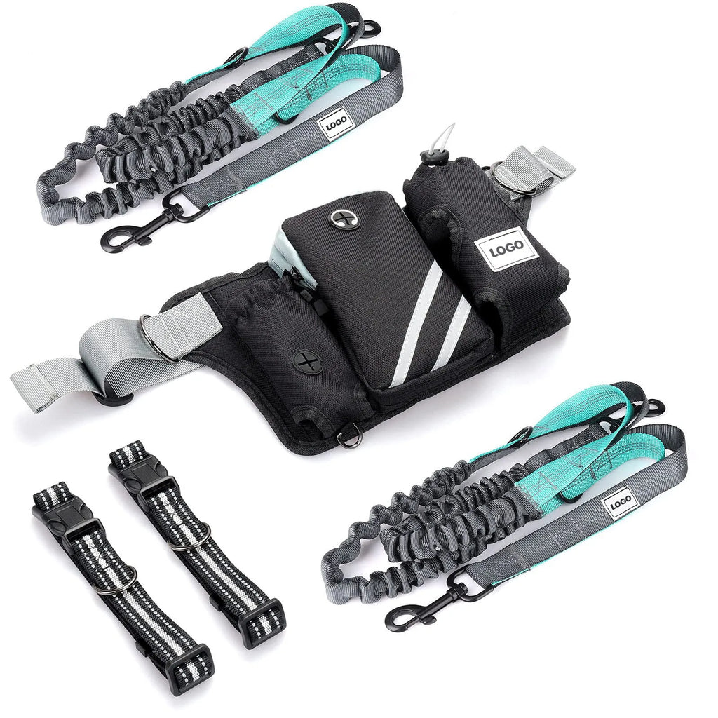 Black nylon pet walking set with waist bag, leash, and collar for outdoor dog training