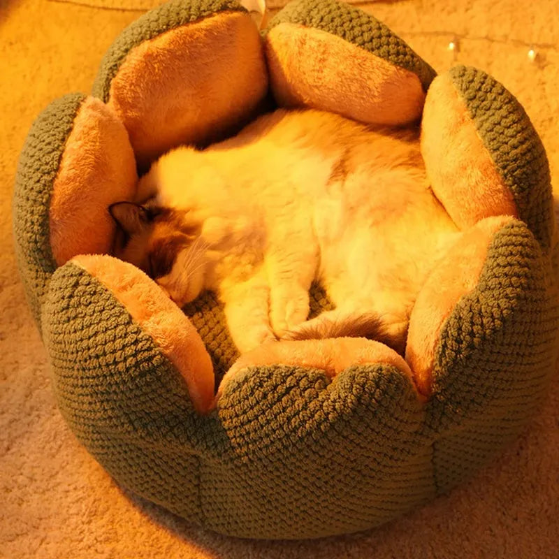 Green cactus petal shape plush pet bed for cats and dogs on hardwood floor