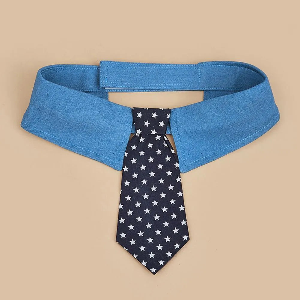 Adjustable denim dog collar with blue star pattern necktie fastened on a pet.