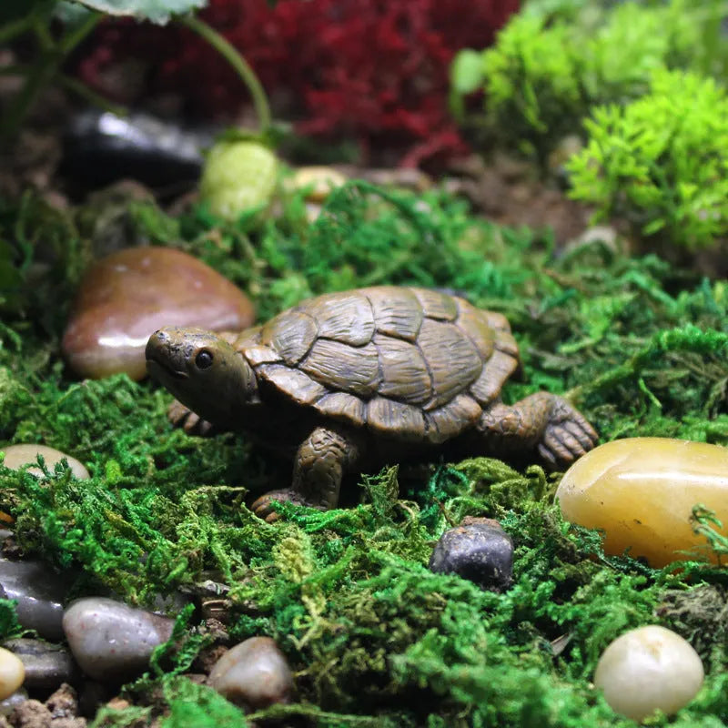 Realistic resin turtle decoration for miniature gardens and displays with natural colour variations