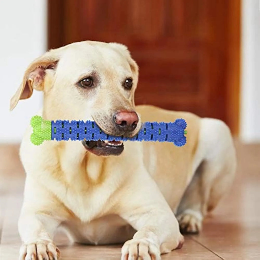 Blue green silicone dog dental toy with brush head design and massage nodules for teeth cleaning