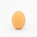 Egg-shaped plastic dog toy with squeaker for teeth cleaning and interactive play