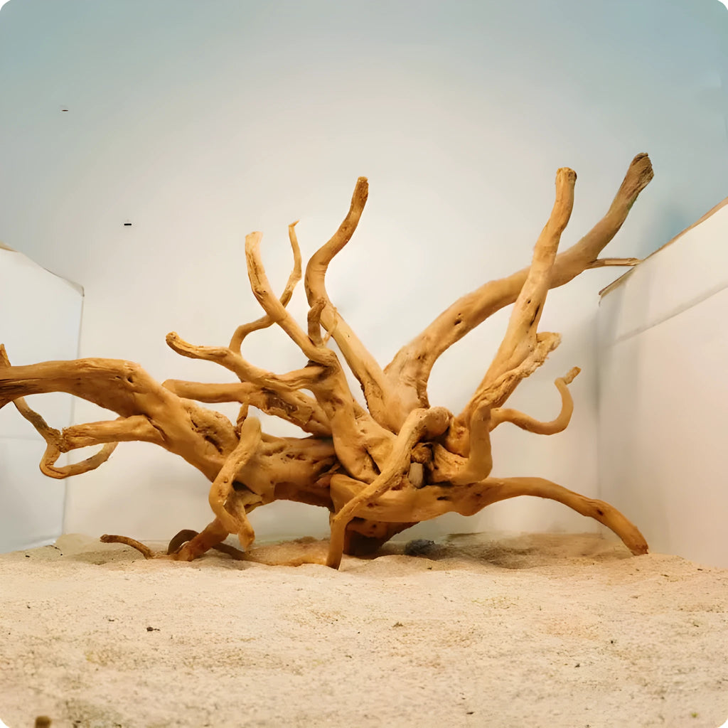 Xiaoqi Root natural wood ornament for aquarium decoration in various sizes