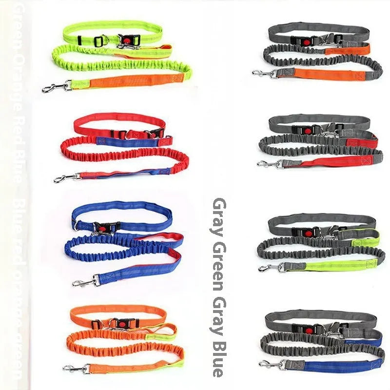 Grey and green elastic dog leash with reflective strip, showing clip and 2.5cm nylon width.