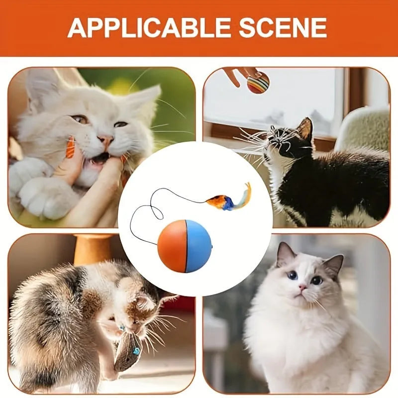 Interactive cat toy with ball and plush mouse in grey or orange, dimensions 8.5cm