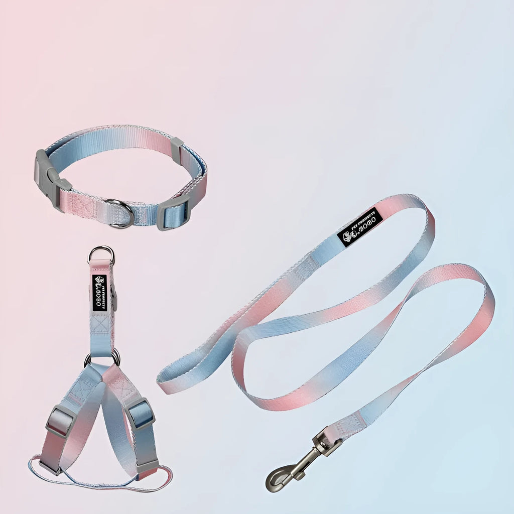 Gradient colour nylon dog leash in pink and yellow, shown as a collar-style lead.