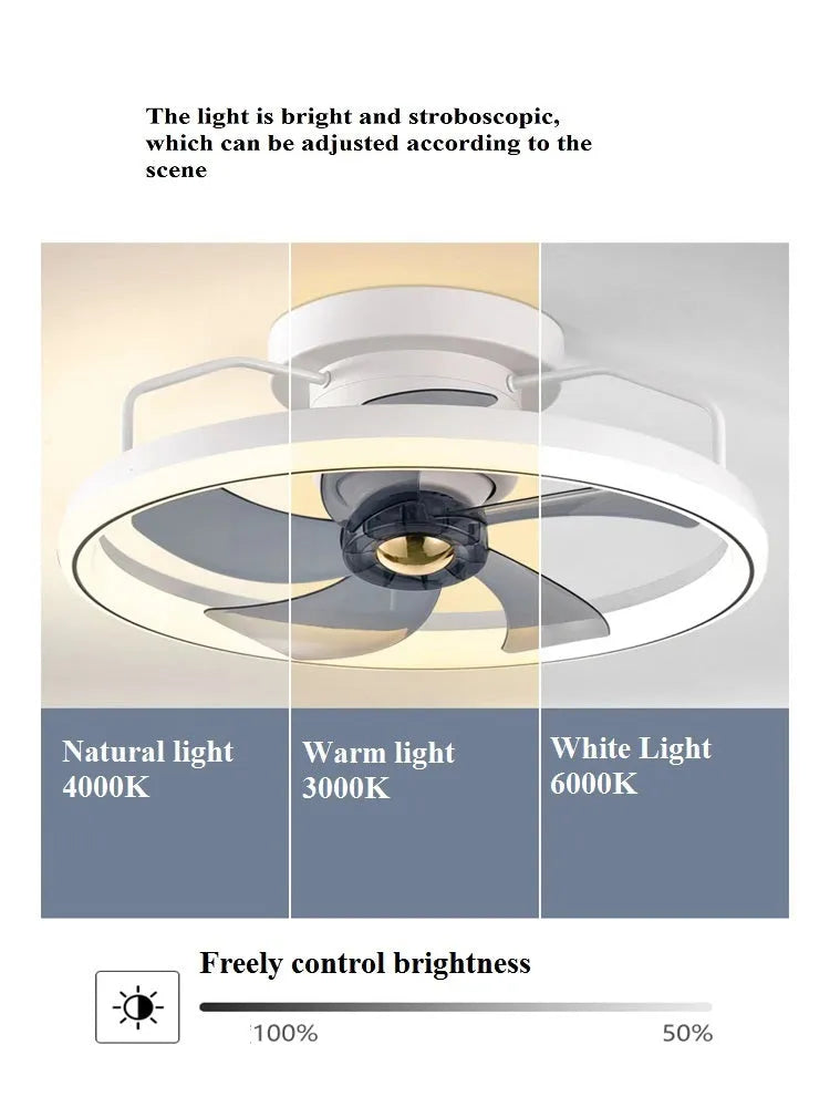 500mm diameter modern ceiling fan light with integrated lighting fixture in multiple colour options