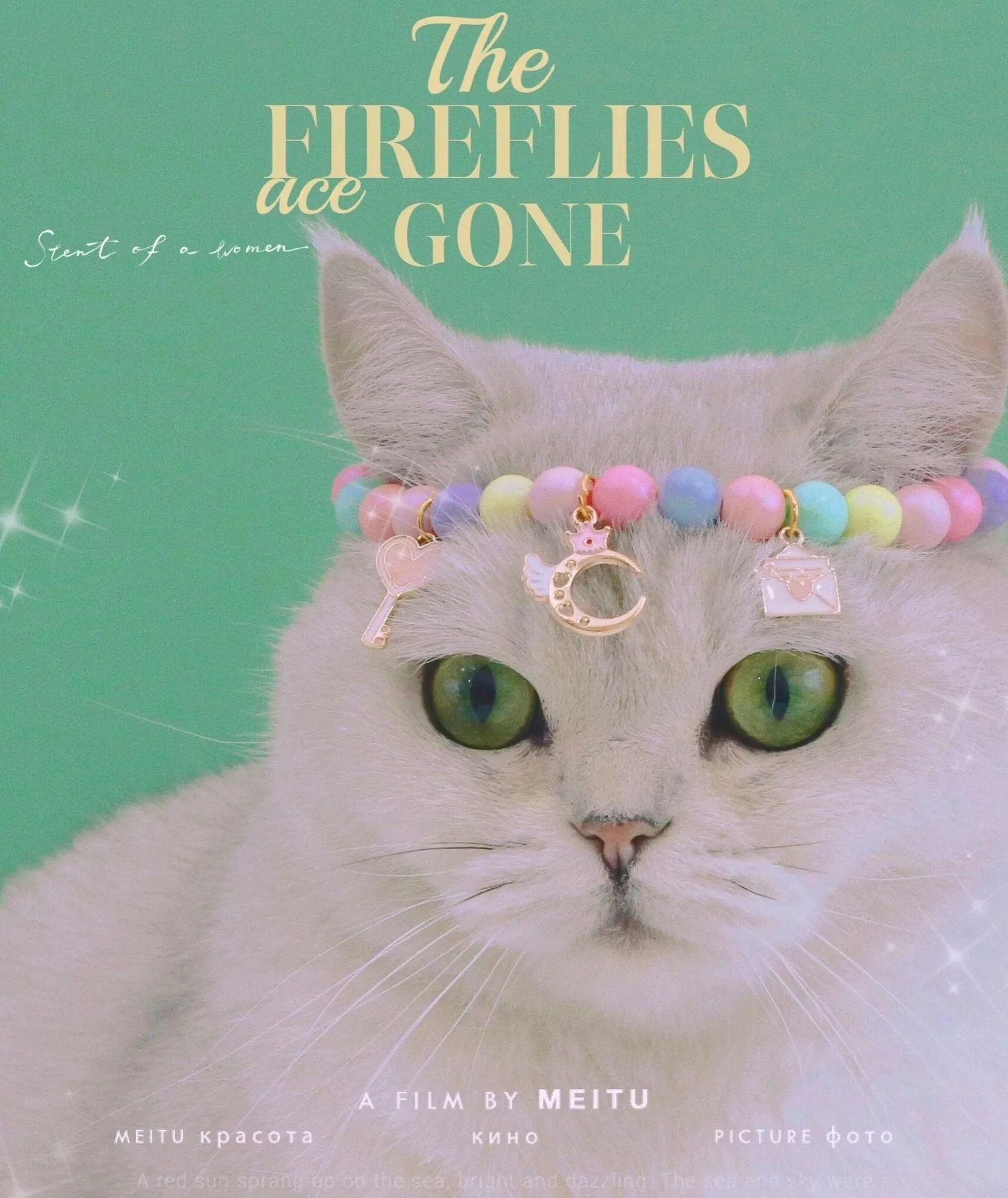 Macaron-coloured resin pet collar and bracelet set for birthday photoshoots on a neutral background.