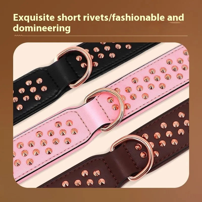 Leather dog collar with metal rivets in chocolate brown, shown in size L