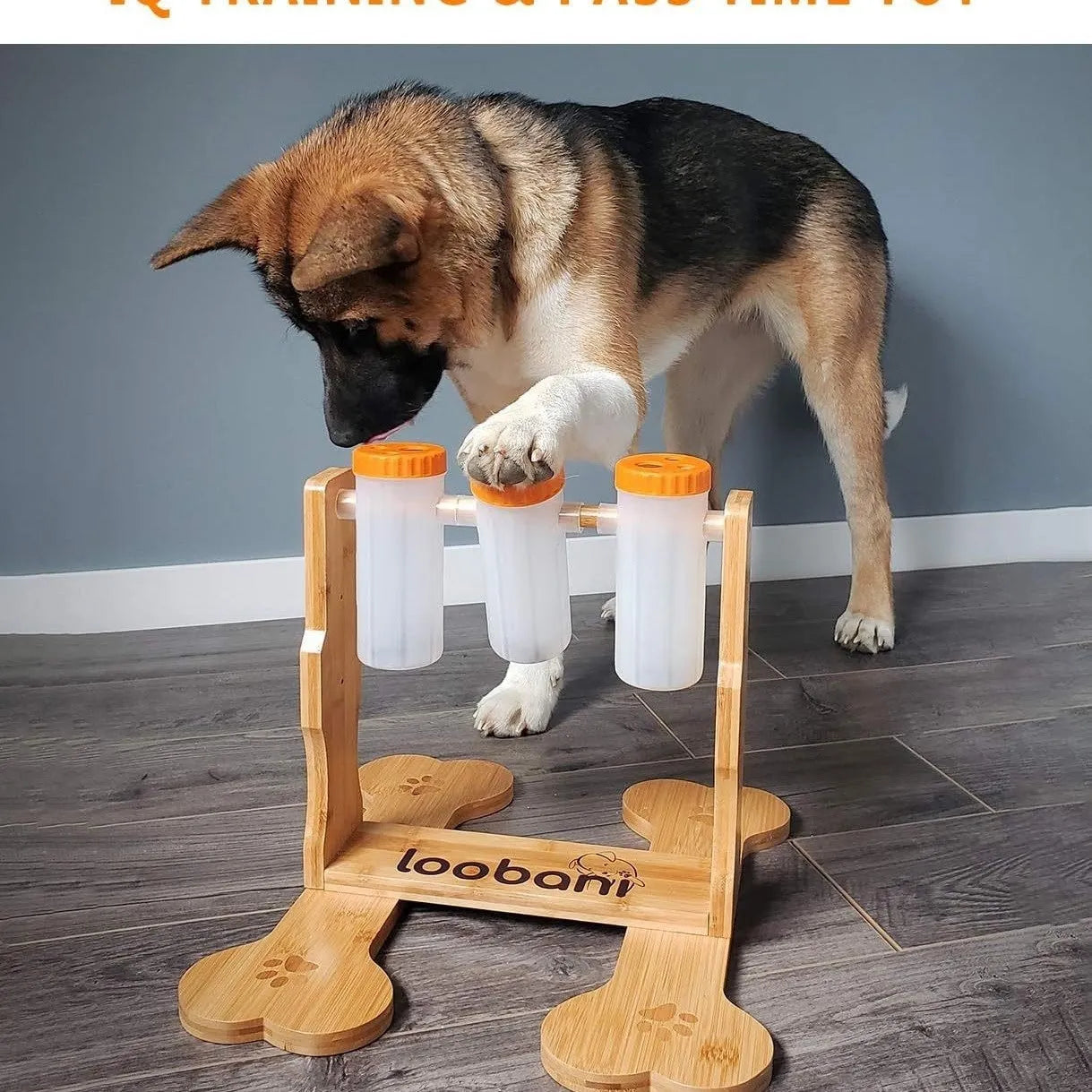 Wooden dog puzzle toy measuring 31x30x20cm with interactive snack dispenser compartments