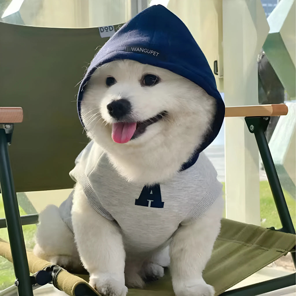 Blue and grey-white reflective letter pet hoodie for cats and dogs on mannequin