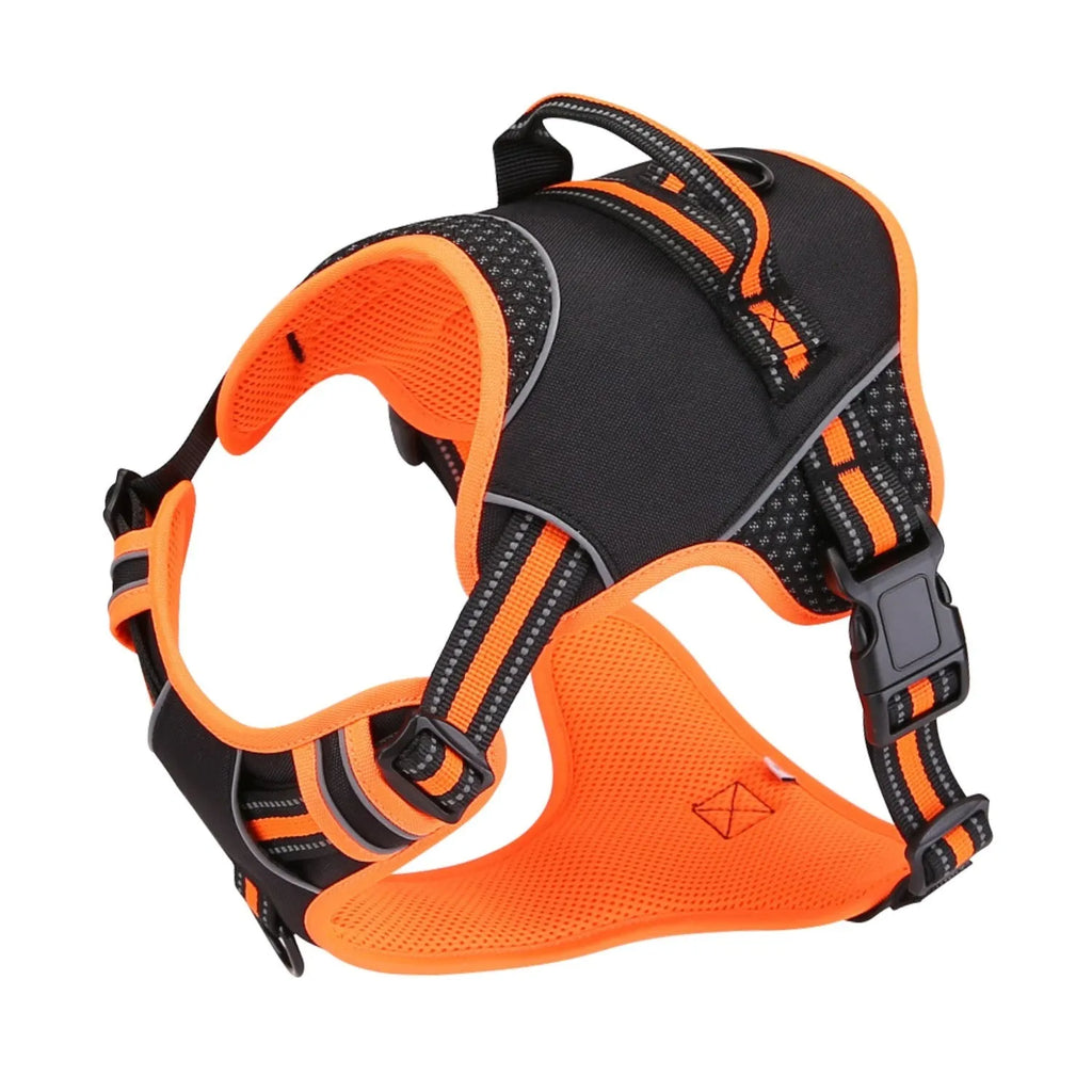 Yellow or orange polyester dog harness with traction strap for outdoor training control