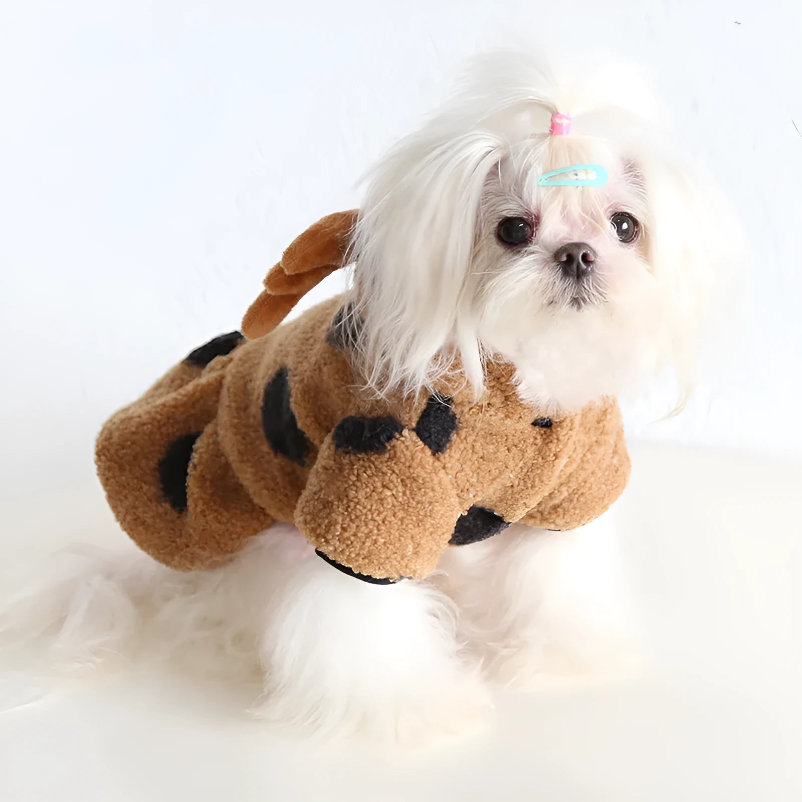 Dog or cat wearing polka dot elk couple clothing in skirt or four-leg style.