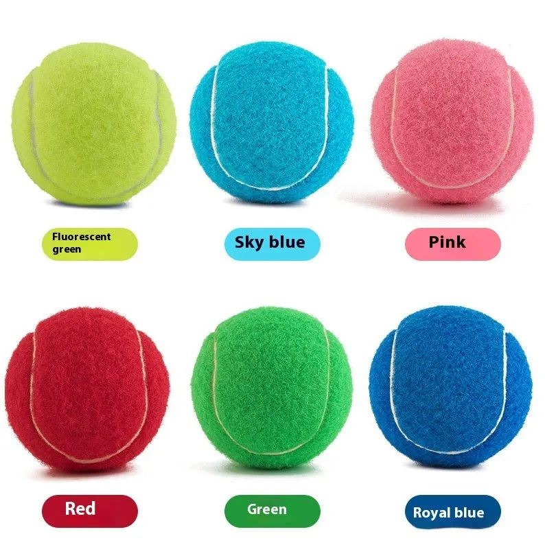6.3cm rubber dog tennis ball in bright colours for bite-resistant fetch and training