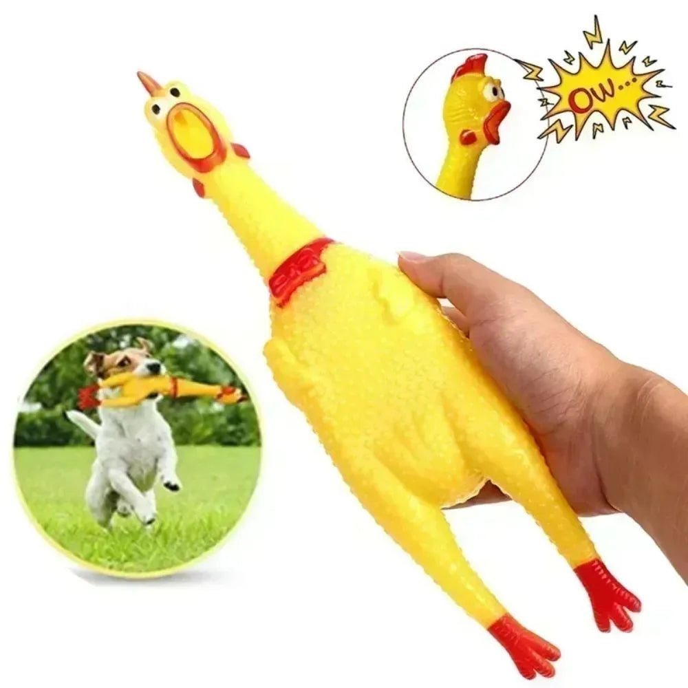 Yellow rubber screaming chicken dog squeak chew toy shown in small, medium, and large sizes.