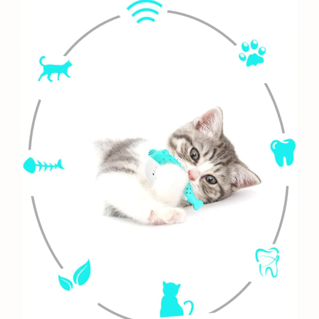 Silicone fish-shaped cat chew toy in blue, measuring 12.2 cm long for interactive play and teeth cleaning