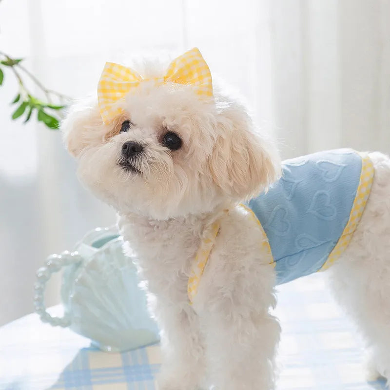 Small dog wearing heart pattern vest with bow suspenders in blue colour, showing elastic fit and decorative design