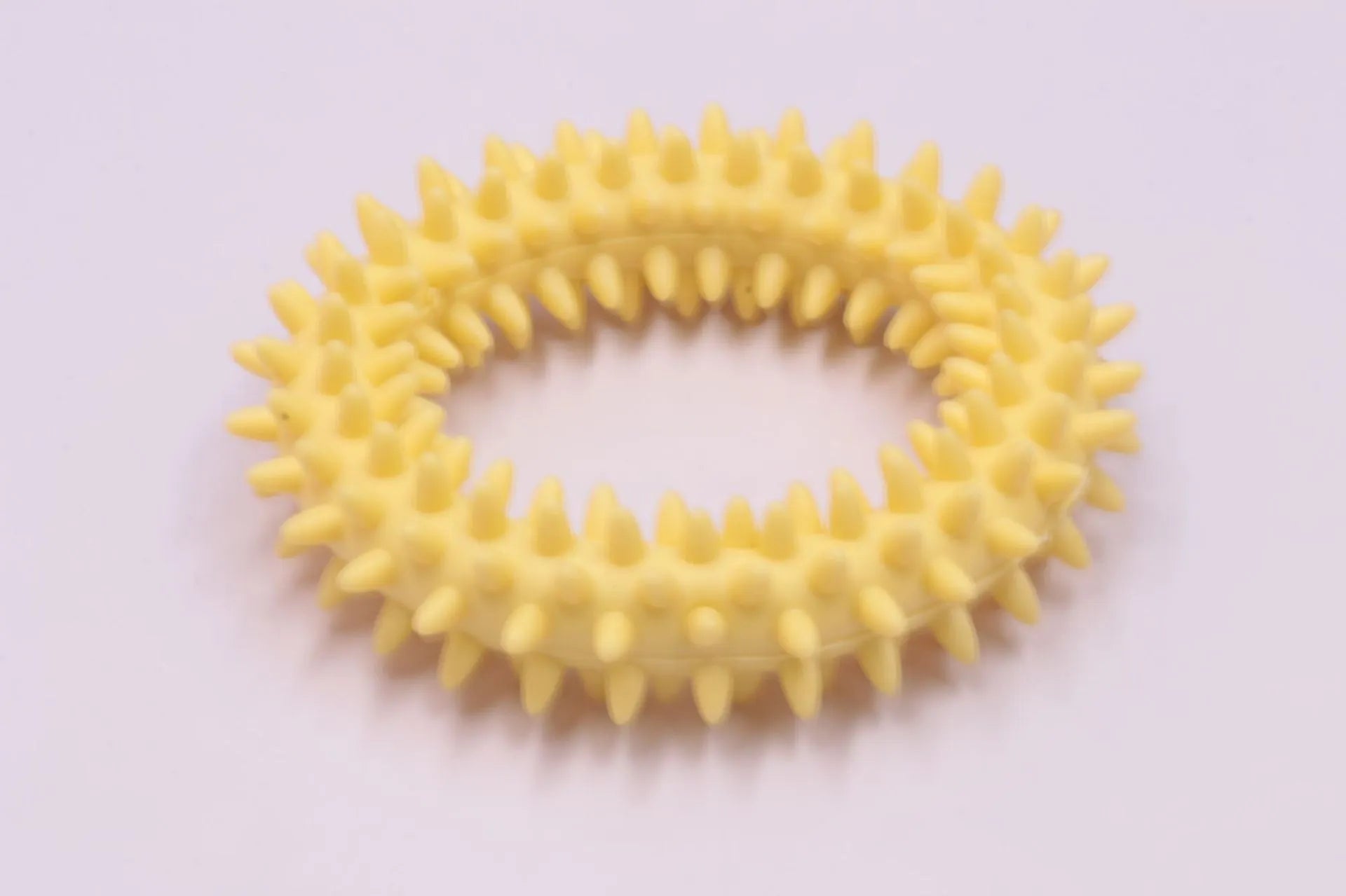 TPR spiky circle ring dog chew toy with dental cleaning nubs in blue colour
