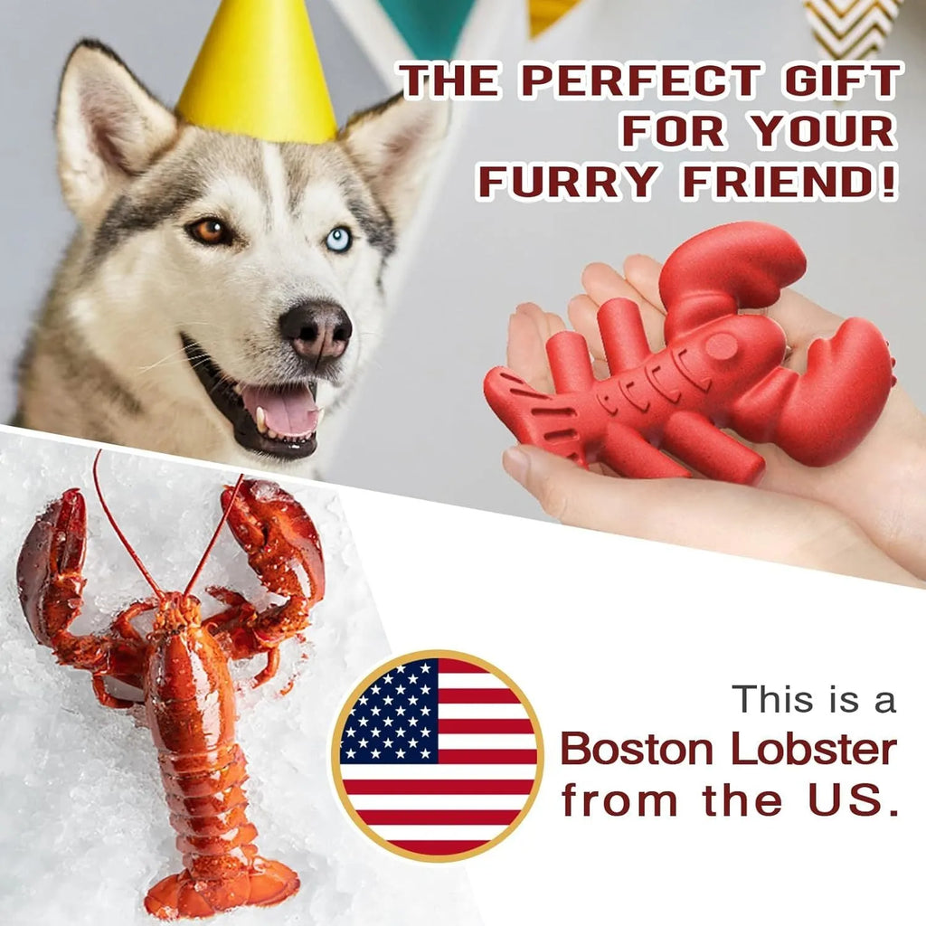 Red hard nylon bone chew toy for large dogs on a white background.