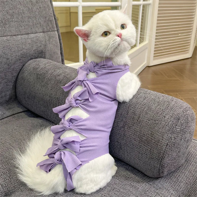 Cat wearing a pink lace-up polyester sterilisation suit after surgery, showing the adjustable tie closure.