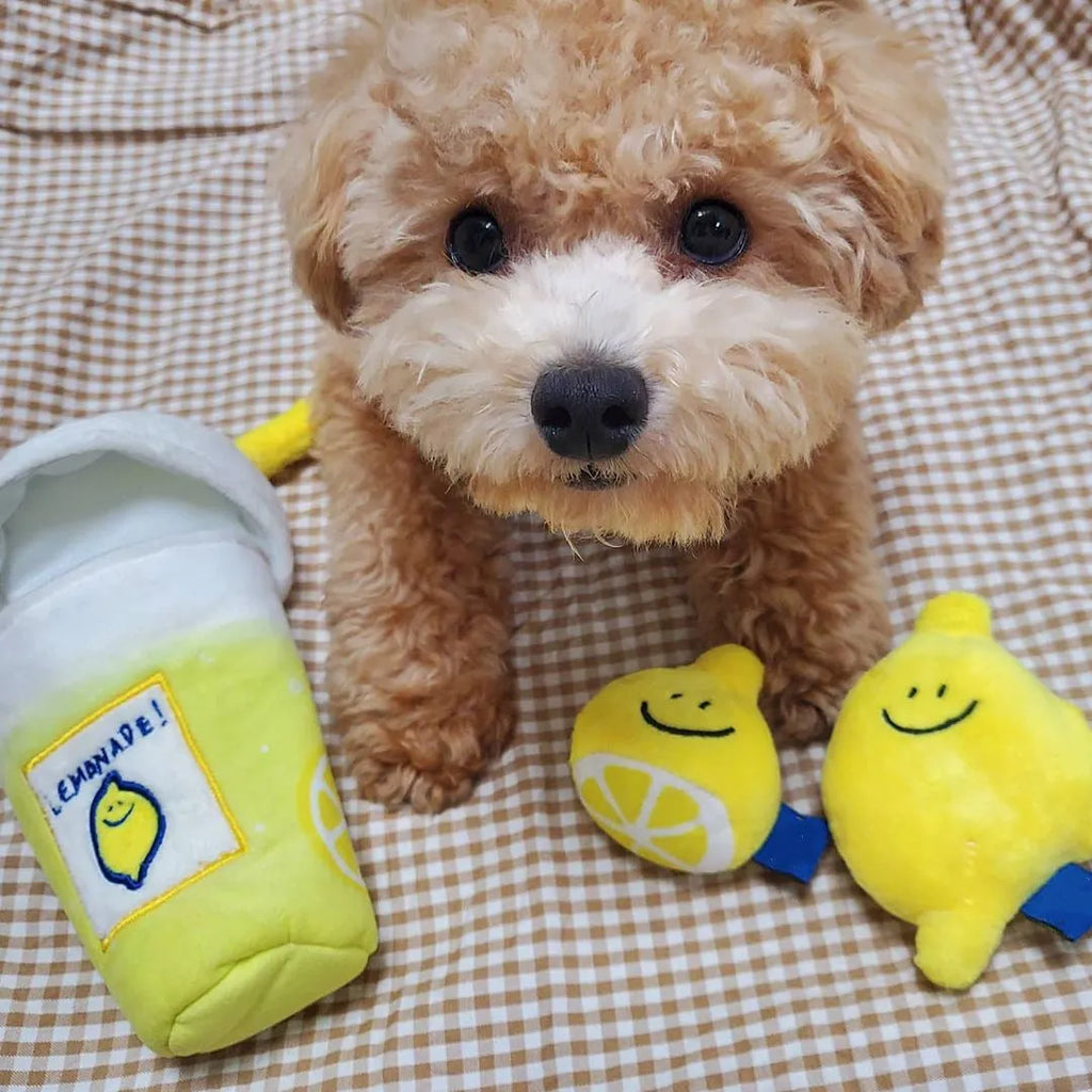 Yellow plush lemon tea cup pet toy with snack pocket, BB call squeaker, and separate cup component.