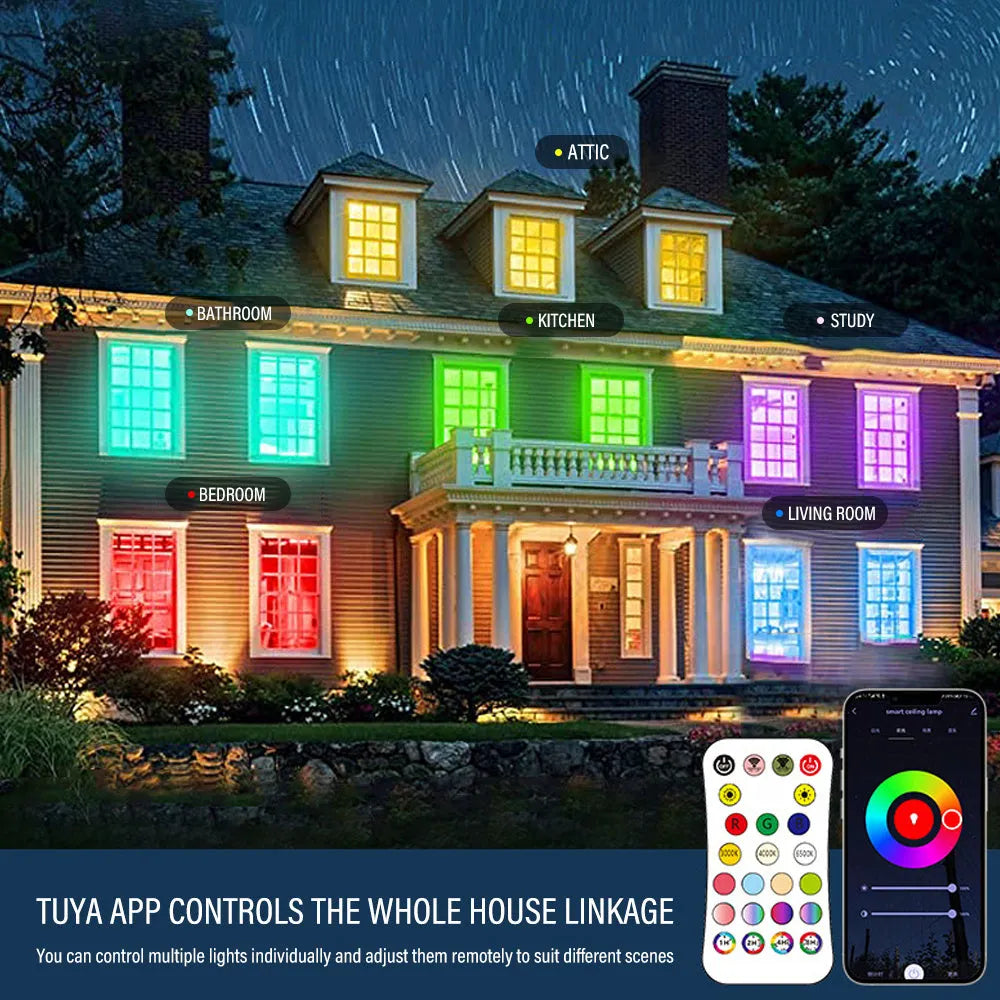 RGBCW intelligent ceiling lamp with Bluetooth and app control in black or white finish