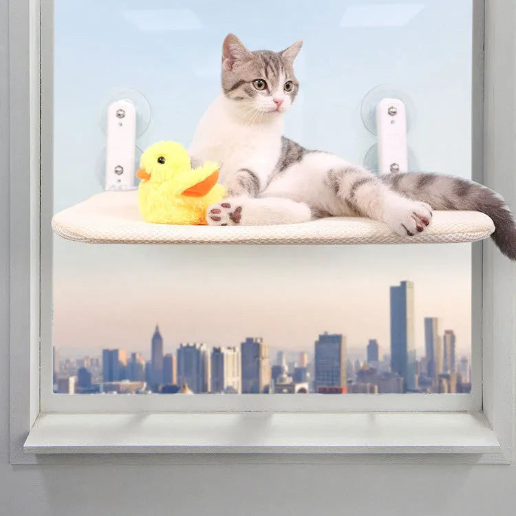 Stainless steel cat window hammock with suction cup mounting and removable cushion