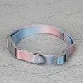 Gradient colour nylon dog leash in pink and yellow, shown as a collar-style lead.