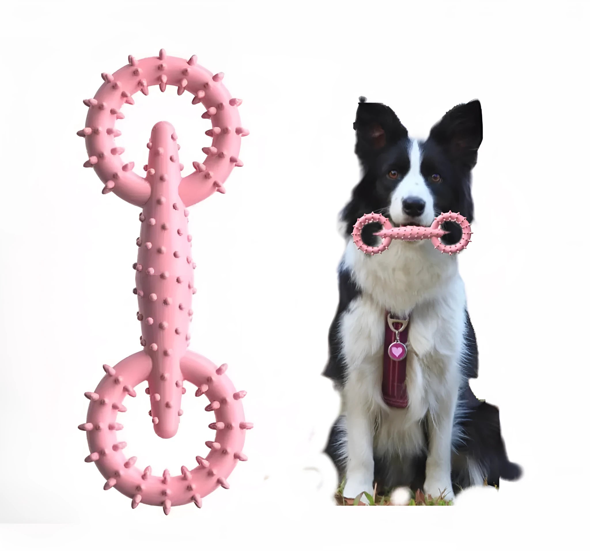Blue TPR dog chew ring toy for puppy teething measuring 16cm diameter